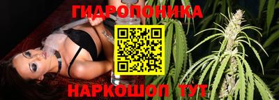 бошки Лесосибирск