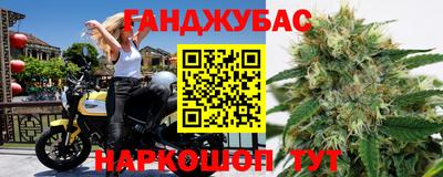 прущие грибы Ливны