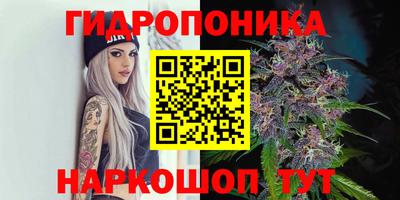 бошки Лесосибирск