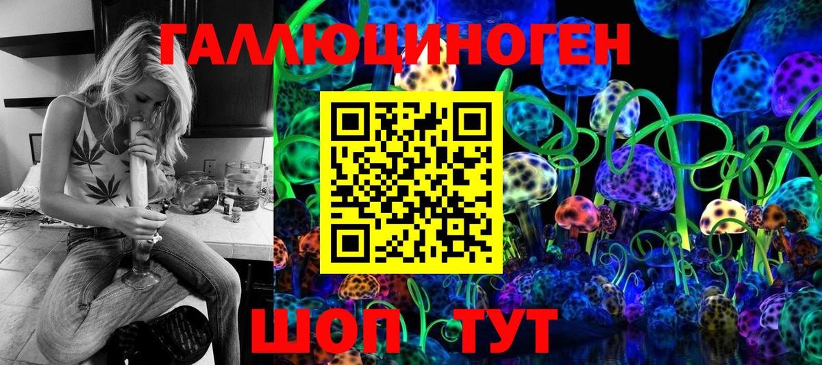 Псилоцибиновые грибы мухоморы Звенигород