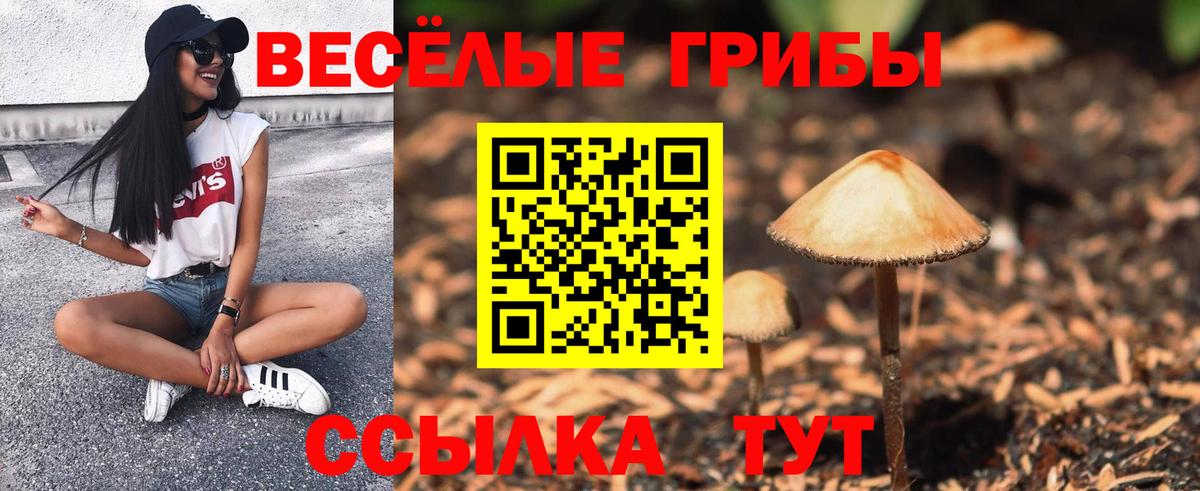Галлюциногенные грибы MAGIC MUSHROOMS  Вход с VPN  Звенигород 